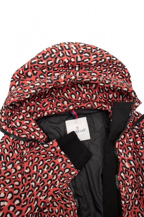 Ветровка 26.02.2023 Newlife.moda