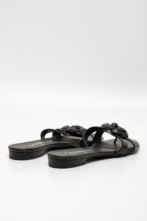 Сабо на плоской подошве 02.02.2025 Newlife.moda
