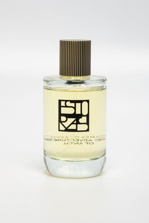 Парфюмированная вода 20.12.2025 Newlife.moda