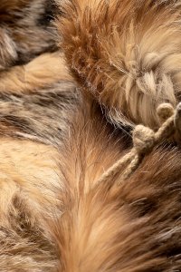 Парка 06.01.2022 Newlife.moda