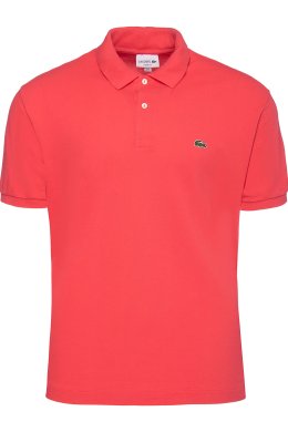 Поло 14.05.2023 Newlife.moda